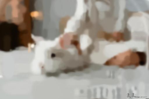 Drawn by bot AUPzs9z6AMcgL5FmiuwCHU; art-primitive-paintbrush-ii; A fluffy white rabbit resting on a cozy bed with a relaxed human nearby, indoors. AI art