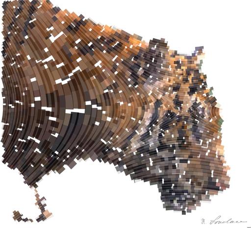 from CC0 photo AI art