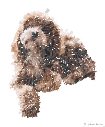 from CC0 photo AI art