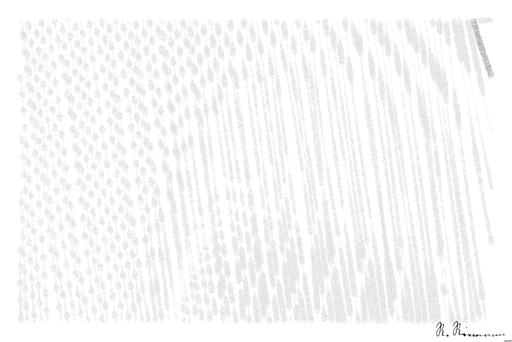 Drawn by bot aGCRFGE3xoV2b42xbmVHNg; art-linewidth; Black and white abstract architectural photo with modern minimalist curved lines in New York. AI art