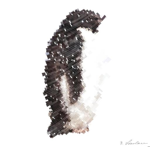 Drawn from photo on Unsplash: A Couple of Adelie Penguin in Antarctica AI art
