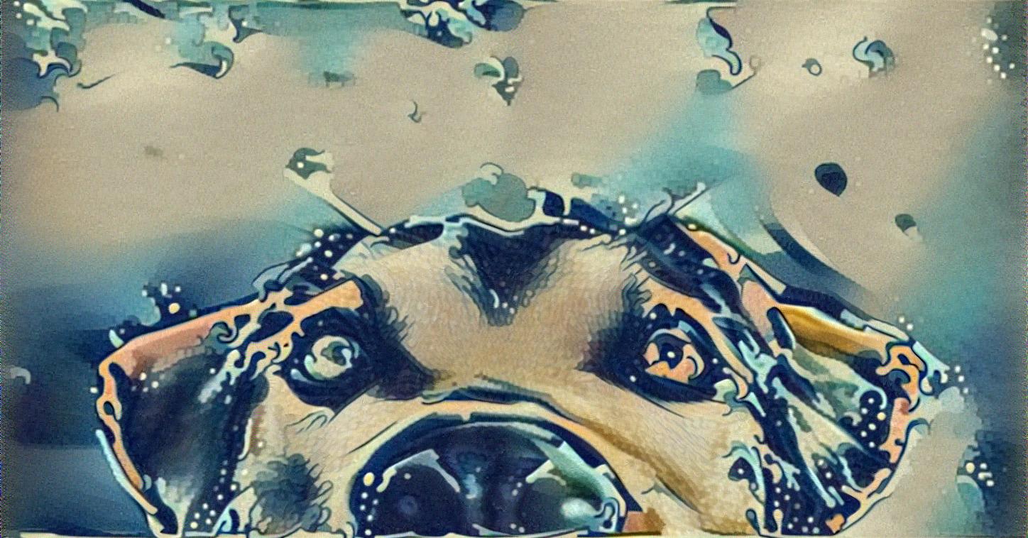 from CC0 photo AI Art