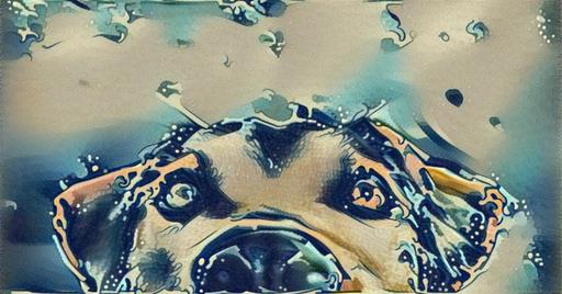 from CC0 photo AI art