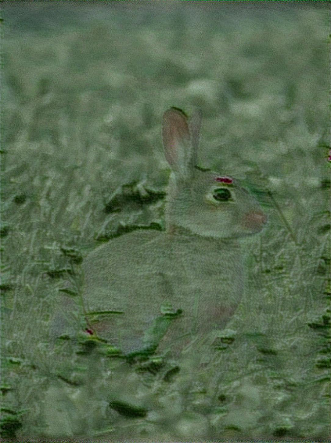 from CC0 photo AI Art