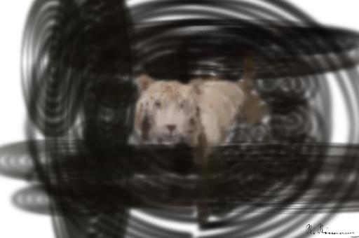 from CC0 photo AI art