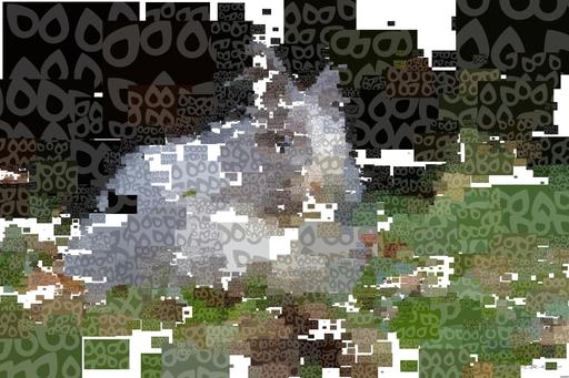 Drawn by bot RXBdEDDQcGvAbc2XedBsRZ; art-quadrangle; white and grey rabbit on ground AI art