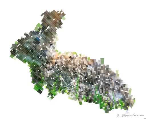 from CC0 photo AI art