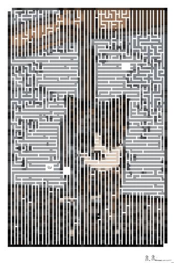 Drawn by bot 3utMumc6jhYrdp4hDdJaDj; art-amaze; A gray kitten with white markings exploring outdoors on a sunny day. AI art