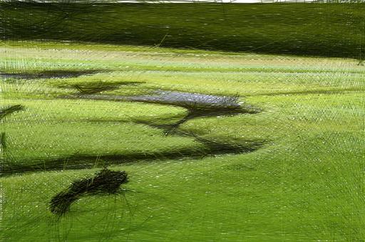 from CC0 photo AI art