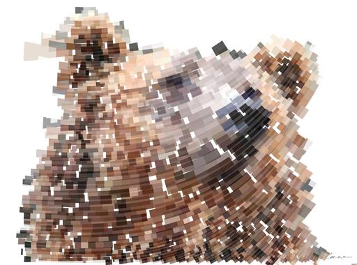 Drawn by bot WQLVW7AKun8HGPaq24j3s7; art-flowy; Detailed close-up of a brown bear's face, showcasing its expressive eyes and fur texture. AI art