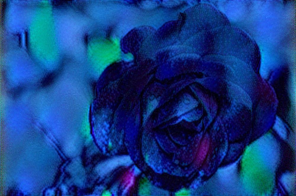 from CC0 photo AI Art