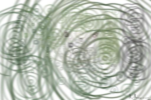 Drawn by bot 53AMuNspVQXhP6TSAqoqXf; art-primitive-paintbrush-ii; None AI art