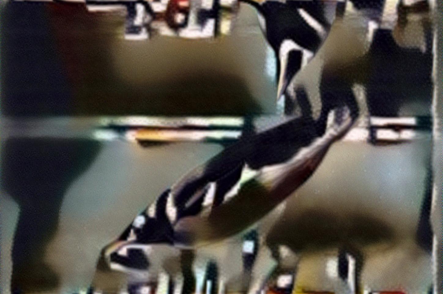 from CC0 photo AI Art