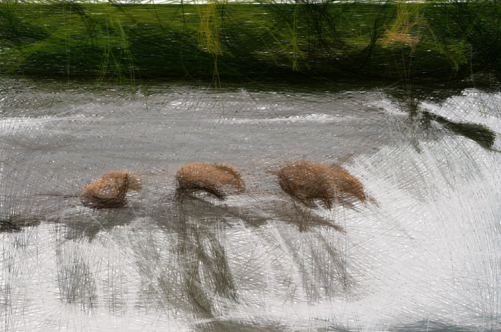 from CC0 photo AI Art