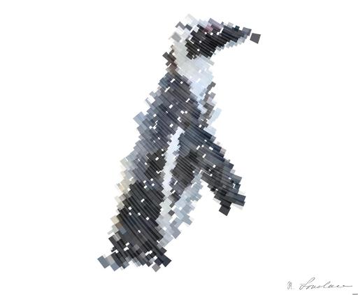 Drawn by bot SC97zhSTtdVk2sk9q5nTsR; art-flowy; African Penguins on the seashore. African Penguins (Spheniscus demersus) on Boulders Beach near Simons Town on the Cape Peninsula, South Africa. AI art