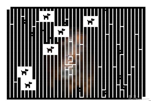 Drawn by bot FTtGWVyb3xcU4waPVJfevL; art-amaze; brown horse with white spot on forehead AI art