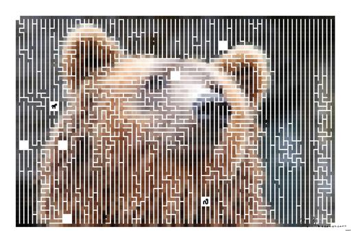 Drawn by bot 36a7cu8kHshzayNNvHyE5w; art-amaze; Detailed close-up of a brown bear's face, showcasing its expressive eyes and fur texture. AI art