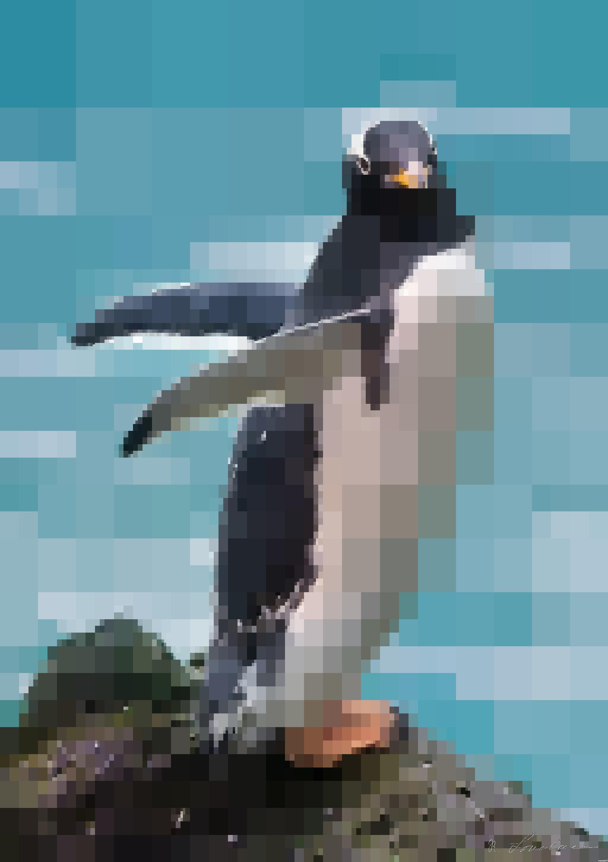 Drawn from photo on Unsplash: a penguin standing on a rock in the water AI Art