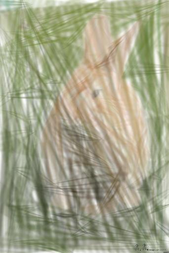 Drawn by bot N3e3z2sRaMCPNSmThK6YP2; art-primitive-paintbrush-ii; Close-up of a cute rabbit sitting on grass outdoors, showcasing its furry features. AI art