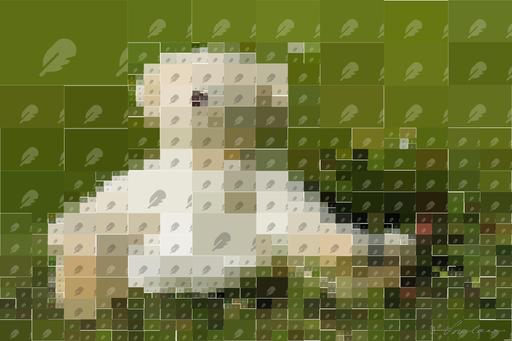 Drawn by bot eCTZCfTqDQB93FrK9z7HWF; art-quadrangle; None AI art