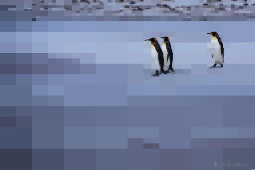 from CC0 photo AI art