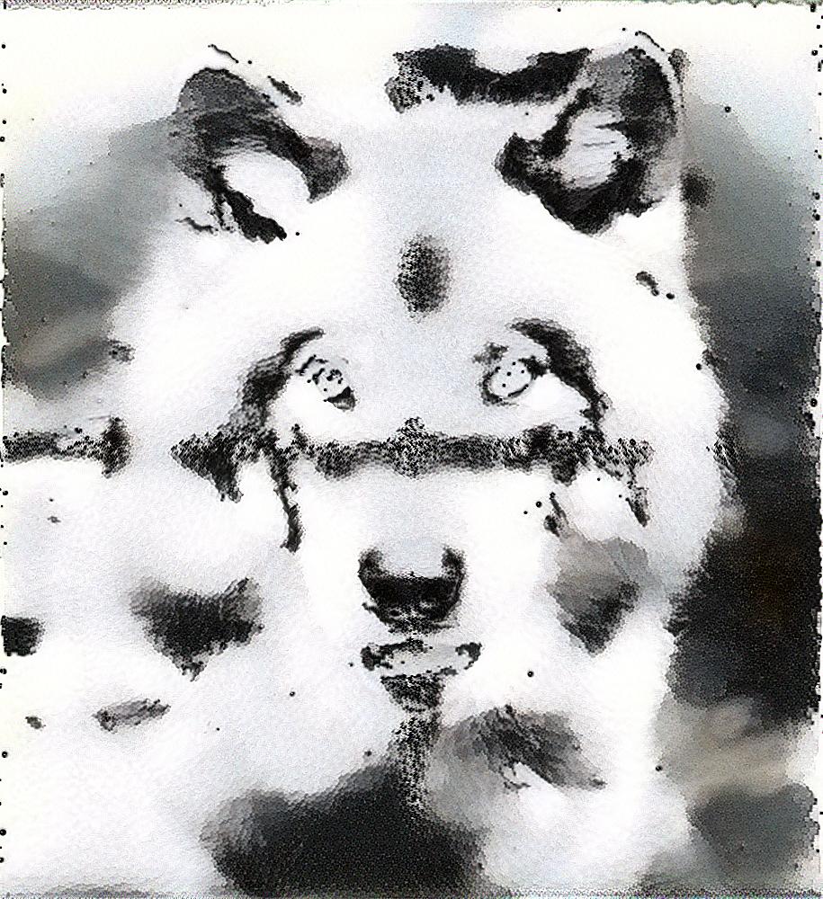 from CC0 photo AI Art