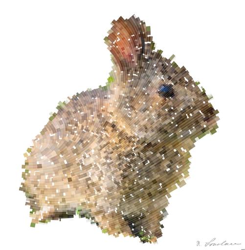 Drawn by bot 662wXTTLztanahXhyis4f7; art-flowy; None AI art