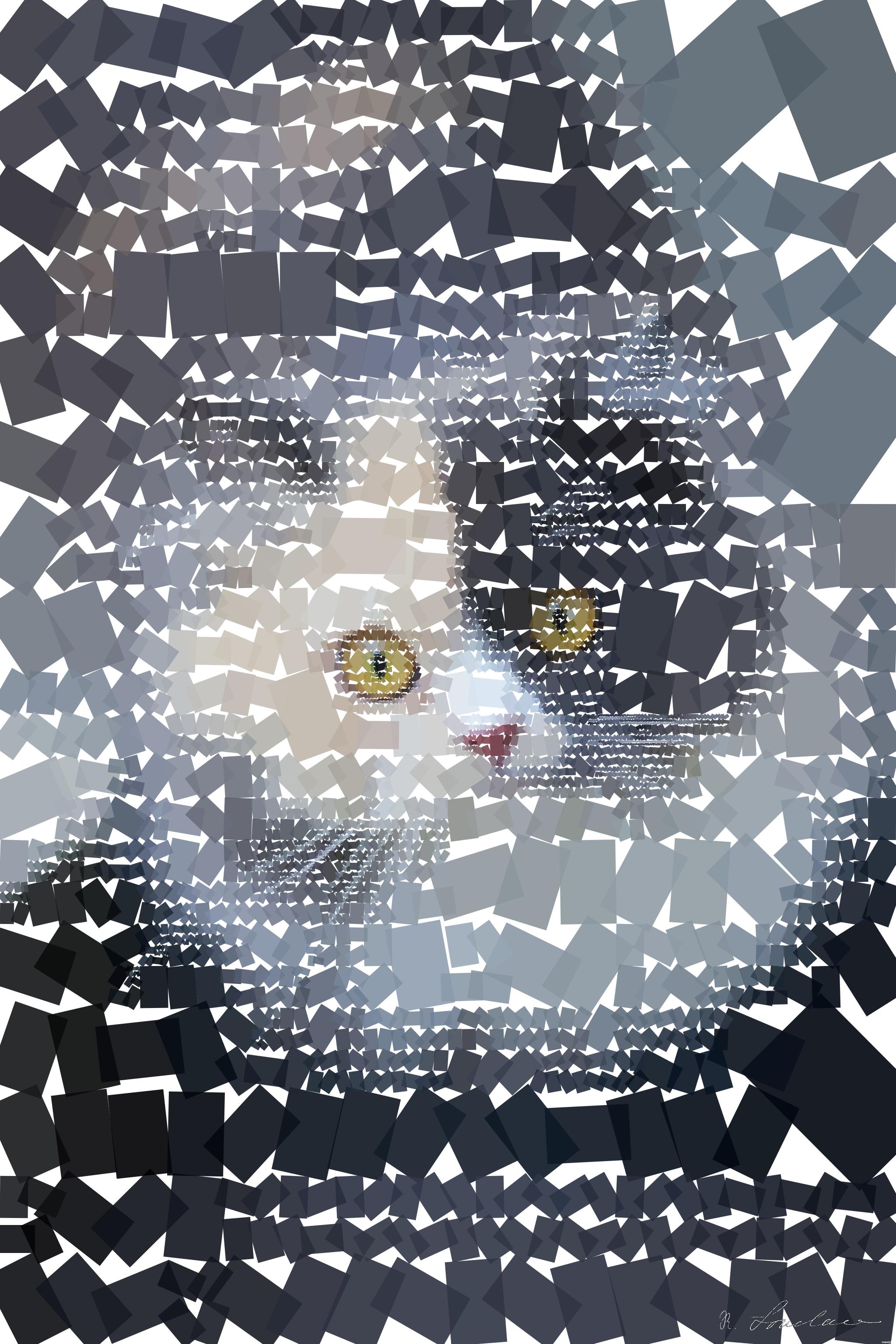 Drawn by bot MsCJBWCvCoqLRG2TSdSwEy; art-quadrangle; short-haired black and white cat AI Art