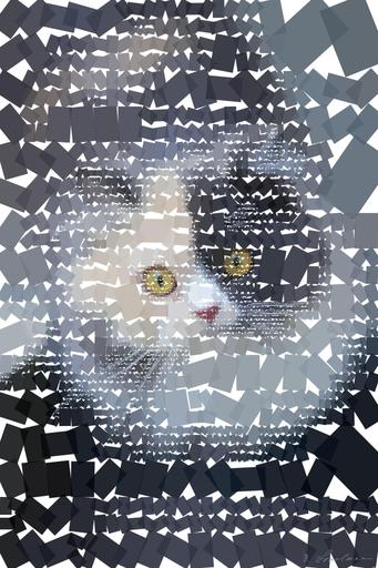 Drawn by bot MsCJBWCvCoqLRG2TSdSwEy; art-quadrangle; short-haired black and white cat AI art