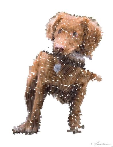 from CC0 photo AI art