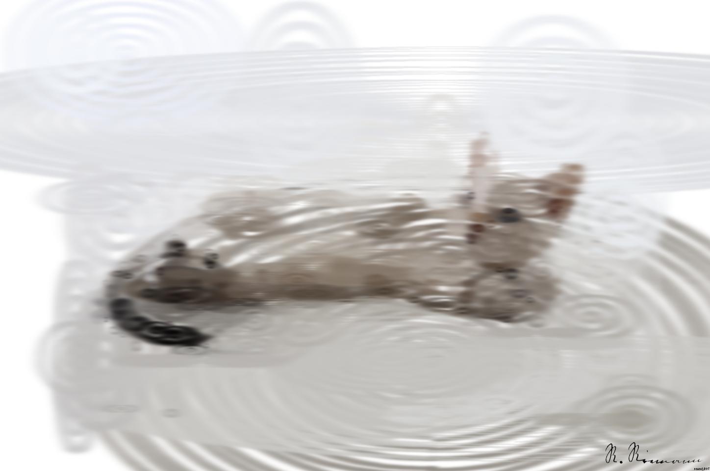 from CC0 photo AI Art