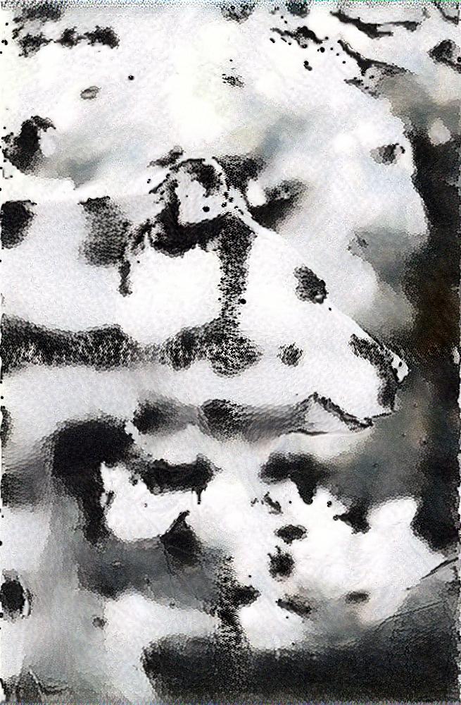 from CC0 photo AI Art