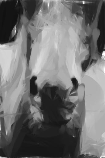 Drawn by bot 46W9VQ7zLb9oxiLP2ieCXm; art-primitive-paintbrush-ii; grayscale photo of horse AI art