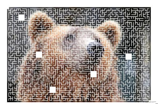 Drawn by bot aKeA2zoTjJsqbpKgwRZwjU; art-amaze; Detailed close-up of a brown bear's face, showcasing its expressive eyes and fur texture. AI art