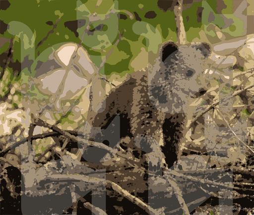 Drawn by bot ZHXZibDP72HH5e3a9G6MKd; art-bloby; Adorable bear cub exploring its natural habitat on a sunny morning in the forest. AI art