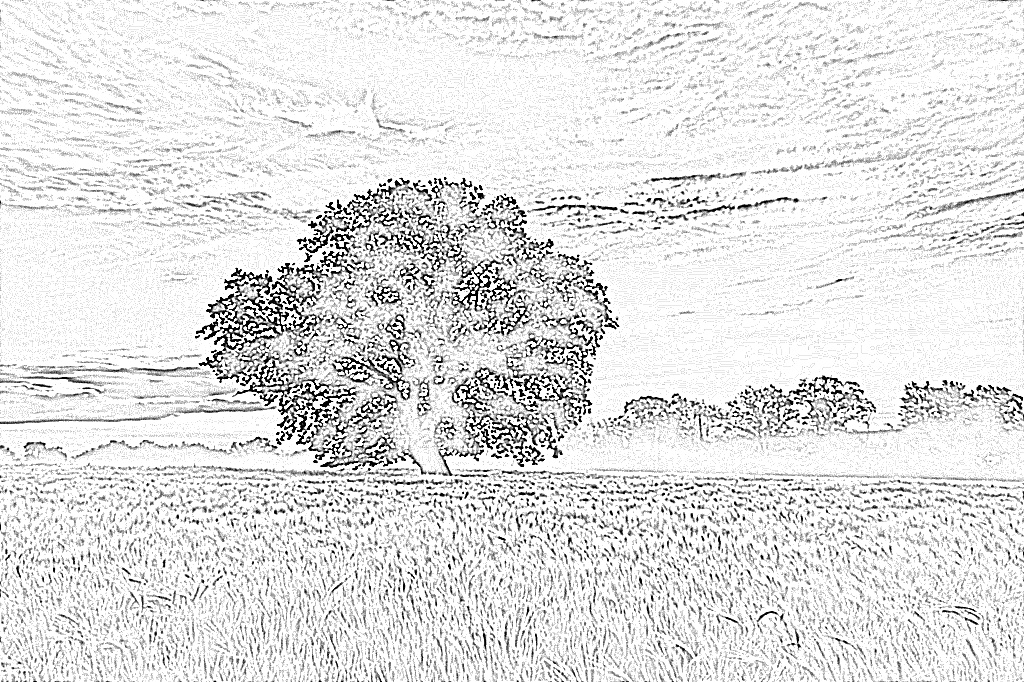 from CC0 photo AI Art