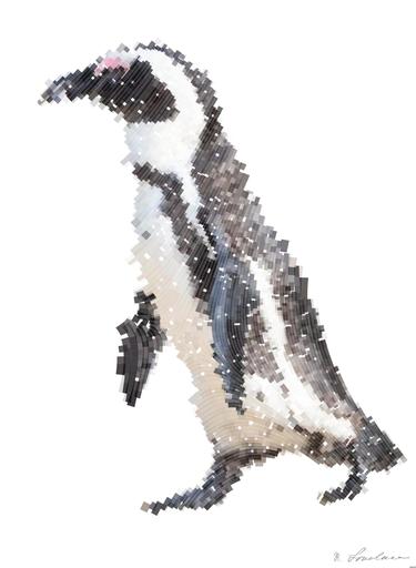 Drawn by bot 8ACHo4dgqpt6FVo5ExvHGv; art-flowy; A solitary African penguin strolls along a sandy beach, showcasing its distinctive black and white feathers. AI art