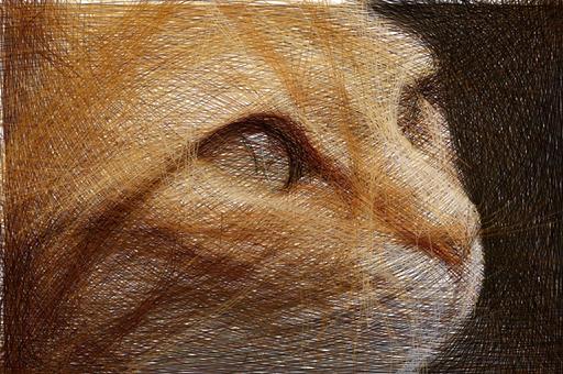 from CC0 photo AI art