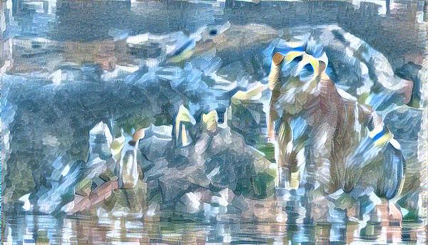 from CC0 photo AI Art