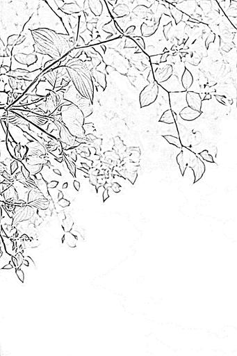 from CC0 photo AI art