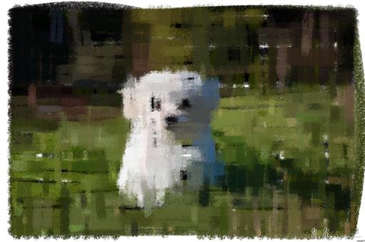 from CC0 photo AI art