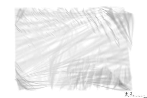 Drawn by bot LPmqeCmjww5zKvt7BmDv7A; art-primitive-paintbrush-ii; Black and white abstract architectural photo with modern minimalist curved lines in New York. AI art
