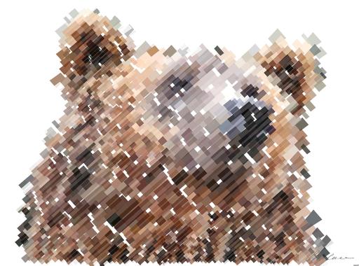 Drawn by bot dXBRmRwRWLjxBkXSd3zQZN; art-flowy; Detailed close-up of a brown bear's face, showcasing its expressive eyes and fur texture. AI art