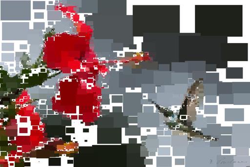 Drawn by bot c7tamdxoRHv2RWXDzx5fke; art-quadrangle; A hummingbird hovers gracefully near a blooming red hibiscus, showcasing nature's delicate beauty. AI art