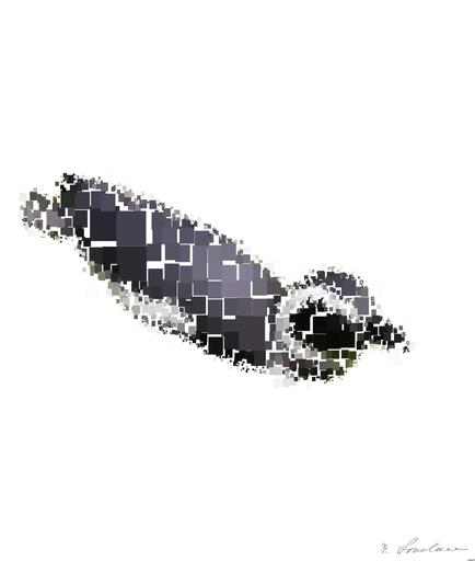 from CC0 photo AI art