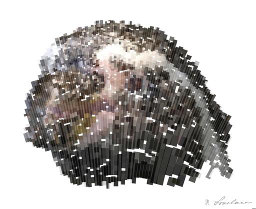 from CC0 photo AI art