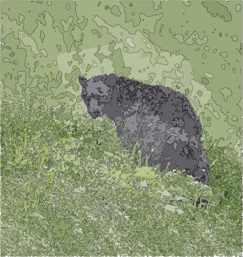Drawn by bot EJbNWMiZhusRjGNnoFjxfi; art-bloby; black bear on green grass field during daytime AI art