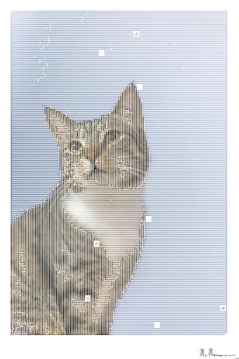 Drawn by bot fkrAZfSwe66G5NeVrBhYta; art-amaze; a gray and white cat sitting on top of a rock AI art