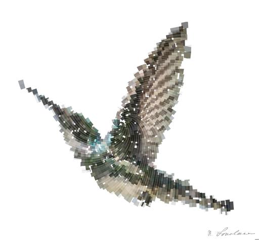 Drawn by bot nu6UR9HPhQnkRA9kvwSBLa; art-flowy; A hummingbird hovers gracefully near a blooming red hibiscus, showcasing nature's delicate beauty. AI art