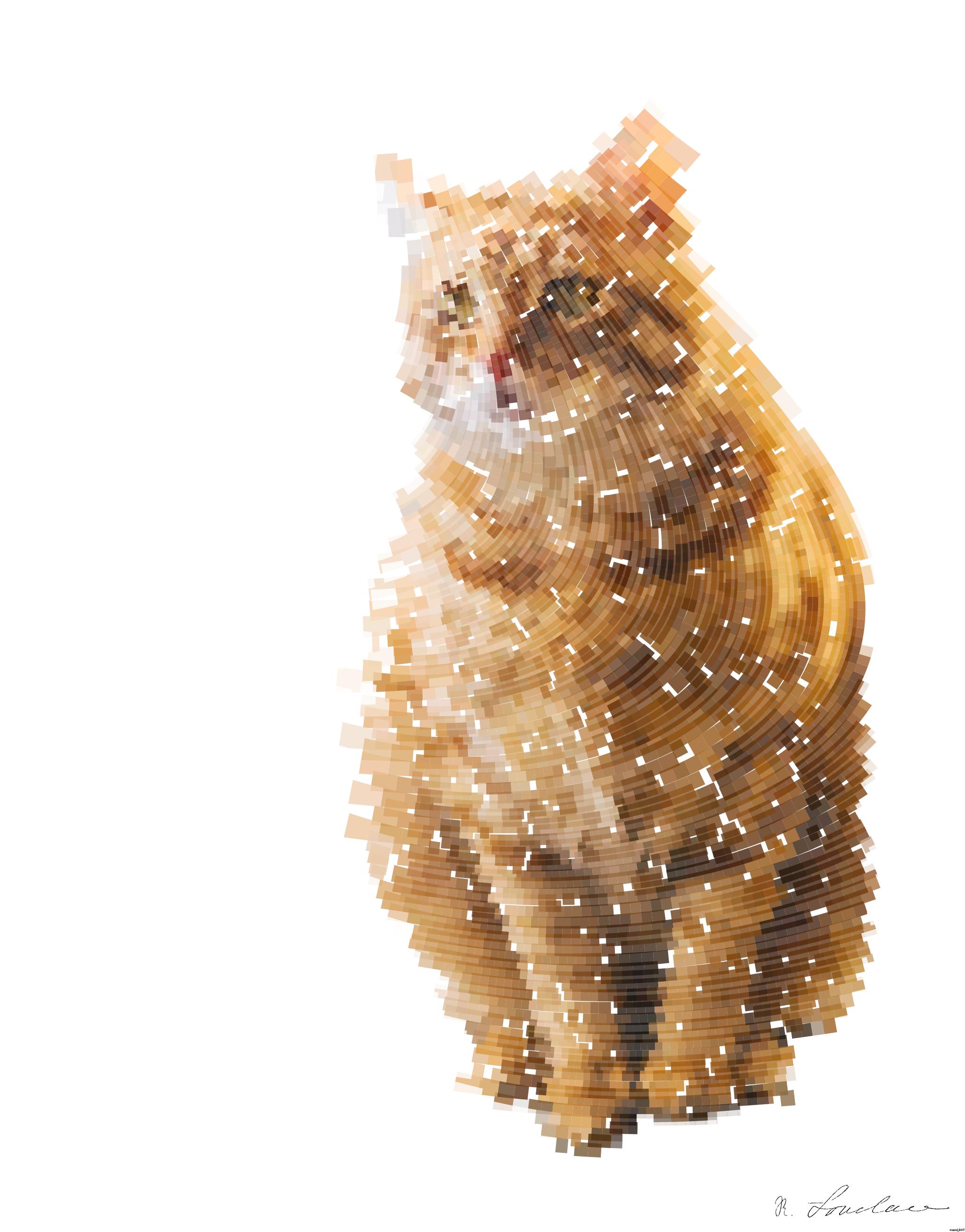 Drawn from photo on Pexels: A cute ginger tabby cat sits on a windowsill, basking in soft indoor light. AI Art